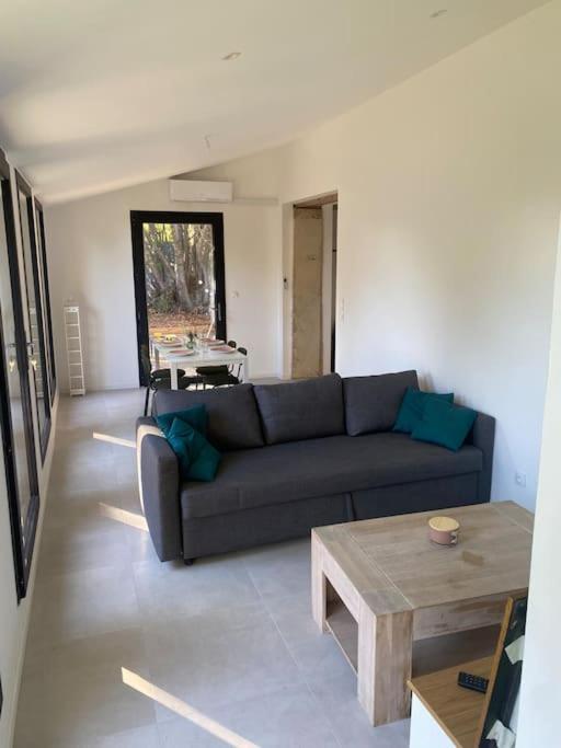 Maison En Pierre A Clermont-L'Herault Brignac  المظهر الخارجي الصورة